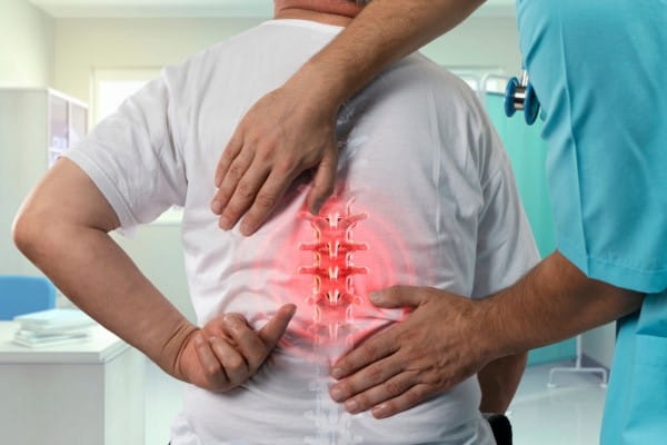 spine